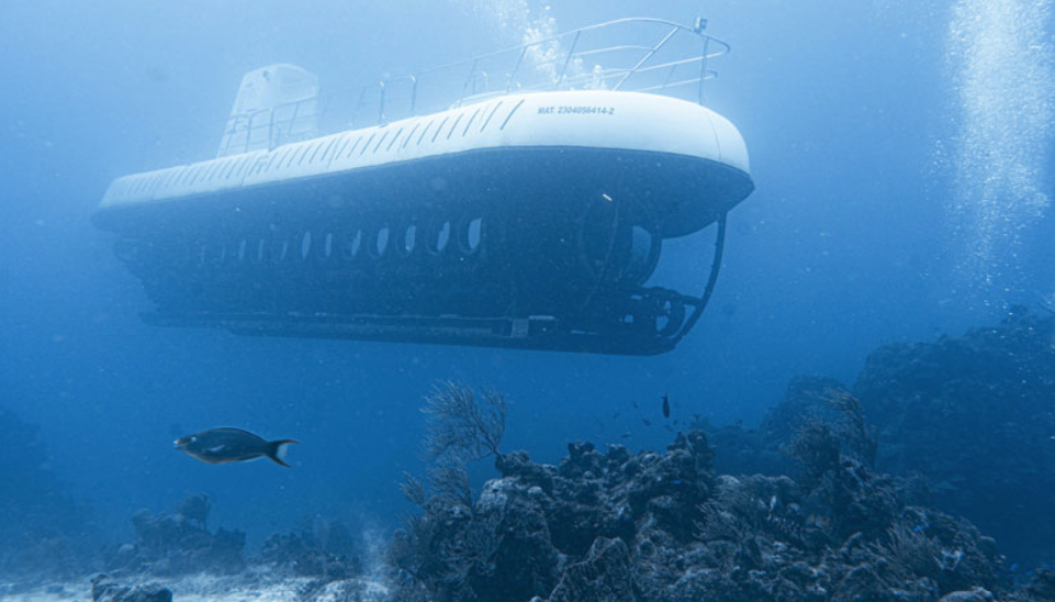 Atlantis Submarine underwater in cozumel